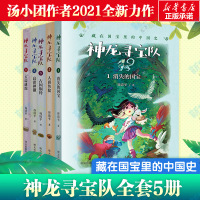 神龙寻宝队1-5册 谷清平 著 少儿 文轩网
