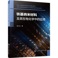 铁基纳米材料及其在电化学中的应用 梁小玉 著 专业科技 文轩网