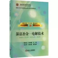 湿法冶金——电解技术 陈利生,余宇楠 编 大中专 文轩网