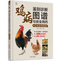 鸡病鉴别诊断图谱与安全用药 铂金视频版 孙卫东,程龙飞 编 专业科技 文轩网