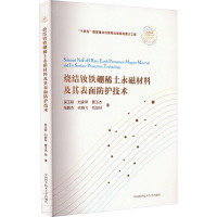 烧结钕铁硼稀土永磁材料及其表面防护技术 吴玉程 等 著 专业科技 文轩网