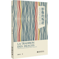 影像的叛逆 法国当代哲学的艺术之思 董树宝 著 艺术 文轩网