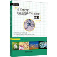 生物化学与细胞分子生物学实验 赵佳福 编 大中专 文轩网