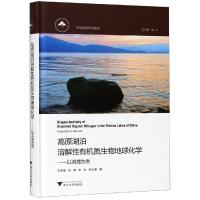 高原湖泊溶解性有机氮生物地球化学—以洱海为例 王圣瑞 著 专业科技 文轩网