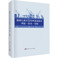 能源行业应急管理系统建设 理论·技术·实践 毛善君 等 著 经管、励志 文轩网