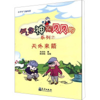 天外来箭 朱应珍 著作 文教 文轩网