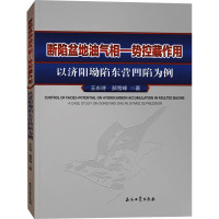 断陷盆地油气相-势控藏作用 以济阳坳陷东营凹陷为例 王永诗,郝雪峰 著 专业科技 文轩网