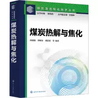 煤炭热解与焦化 尚建选 等 编 专业科技 文轩网