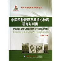 中国稻种资源及其核心种质研究与利用 李自超 主编 专业科技 文轩网