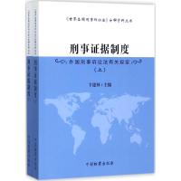 刑事证据制度 卞建林 主编 社科 文轩网