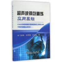 超声波钢包精炼应用基础 亢淑梅//沈明钢//李成威 著作 著 专业科技 文轩网