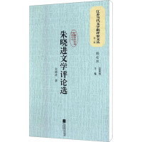 朱晓进文学评论选 朱晓进 著 文学 文轩网