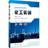 化工实训 姜国平 主编 刘海、靳菲、靳治良 副主编 著 姜国平 编 大中专 文轩网