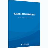 新型电力系统发展蓝皮书 《新型电力系统发展蓝皮书》编写组 编 专业科技 文轩网