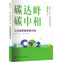 碳达峰碳中和 工业高质量发展之路 凌逸群 编 专业科技 文轩网