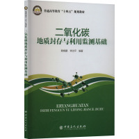 二氧化碳地质封存与利用监测基础 赖枫鹏,李治平 编 大中专 文轩网