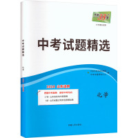 中考试题精选 中考模拟试题 化学 2024山东适用 北京天利考试信息网 编 文教 文轩网