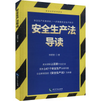 安全生产法导读 杨慧丽 著 社科 文轩网