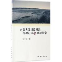 内蒙古苏贝淖湖泊沉积记录与环境演变 刘宇峰 著 著 专业科技 文轩网