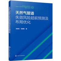 天然气管道失效风险超前预测及布局优化 安金钰,张祖敬 著 专业科技 文轩网