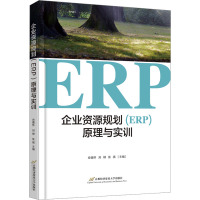 企业资源规划(ERP)原理与实训 佘镜怀,刘柳,张祺 编 大中专 文轩网