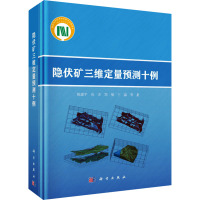 隐伏矿三维定量预测十例 陈建平 等 著 专业科技 文轩网