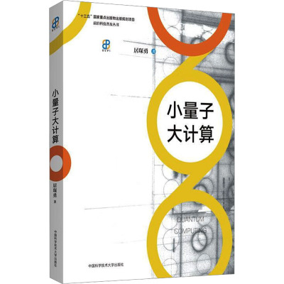 小量子大计算 居琛勇 著 专业科技 文轩网