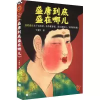 盛唐到底盛在哪儿 于赓哲 著 文学 文轩网