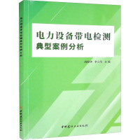 电力设备带电检测典型案例分析 胡俊华,李立生 编 专业科技 文轩网