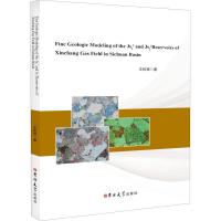 四川盆地新场气田Js21、Js23储层精细描述 王权锋 著 专业科技 文轩网