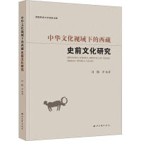 中华文化视域下的西藏史前文化研究 刘鹏 等 编 社科 文轩网