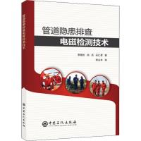 管道隐患排查电磁检测技术 李晓松,尚兵,石仁委 著 专业科技 文轩网