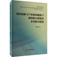 制度创新与产业协同视角下滇桂黔石漠化区乡村振兴研究 张海丰 著 经管、励志 文轩网