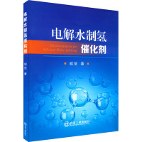 电解水制氢催化剂 胡觉 著 专业科技 文轩网