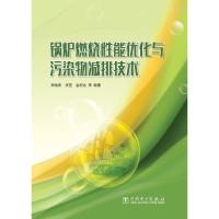 锅炉燃烧性能优化与污染物减排技术 束继伟 李罡 金宏达 等 著 专业科技 文轩网