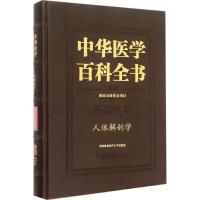 人体解剖学 柏树令 主编 著 生活 文轩网