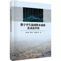 数字孪生流域降水遥感及动态评价 冶运涛 等 著 专业科技 文轩网