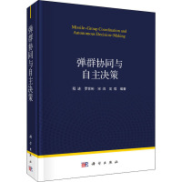 弹群协同与自主决策 程进 等 编 专业科技 文轩网