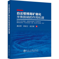 白云鄂博尾矿催化半焦脱硝的作用机理 龚志军,李保卫,武文斐 著 专业科技 文轩网