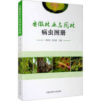 安徽林业与园林病虫图册 束庆龙,张龙娃 编 专业科技 文轩网