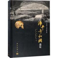 漳平奇和洞遗址 福建博物院,龙岩市文化广电新闻出版局 编著 社科 文轩网