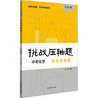 挑战压轴题 中考化学 强化训练篇 2024版 扬洋 编 文教 文轩网