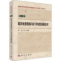 煤田地质勘探与矿井地质保障技术 张群 等 著 专业科技 文轩网
