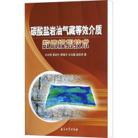 碳酸盐岩油气藏等效介质数值模拟技术 王自明,袁迎中,蒲海洋 等 著 专业科技 文轩网