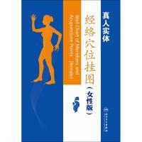 经络穴位挂图 《经络穴位挂图》编委会 主编 著作 生活 文轩网