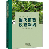 当代葡萄设施栽培 尚泓泉,娄玉穗,吕中伟 编 专业科技 文轩网