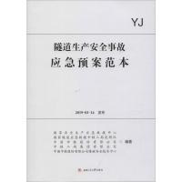 隧道生产安全事故应急预案范本 国家安全生产应急救援中心 等 著 专业科技 文轩网