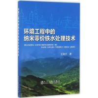 环境工程中的纳米零价铁水处理技术 王向宇 著 专业科技 文轩网