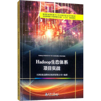 HADOOP生态体系项目实战 天津滨海迅腾科技集团有限公司 编 专业科技 文轩网