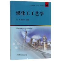 煤化工工艺学/周安宁 周安宁 张亚婷 著 大中专 文轩网